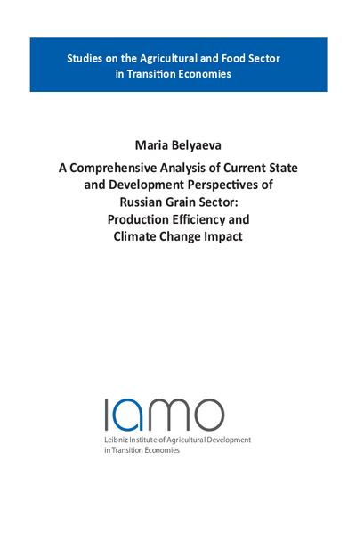 A Comprehensive Analysis of Current State and Development Perspectives of Russian Grain Sector : Production Efficiency and Climate Change Impact