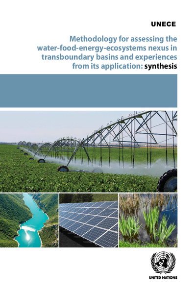 Methodology for Assessing the Water-Food-Energy-Ecosystems Nexus in transboundary Basins and Experiences from its Application