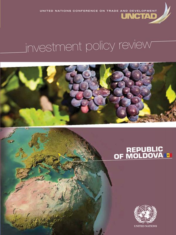 Investment Policy Review