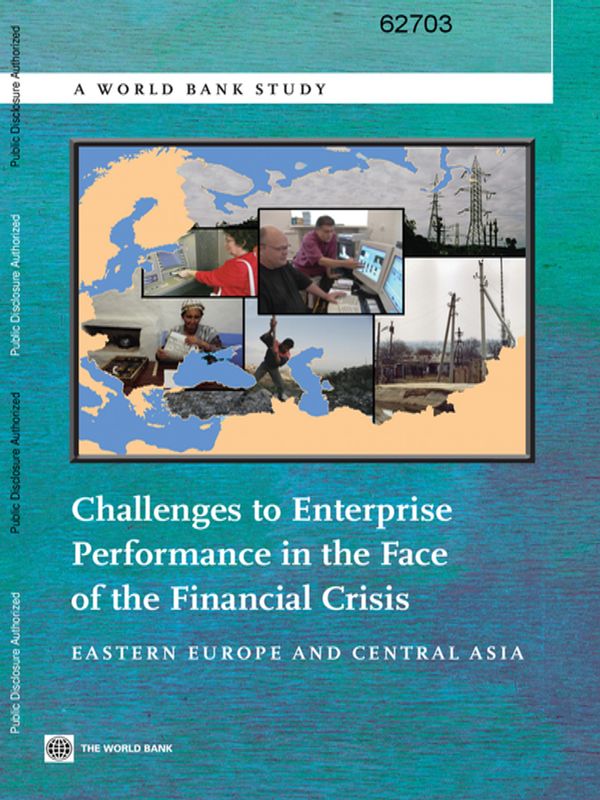 Challenges to Enterprise Performance in the Face of the Financial Crisis