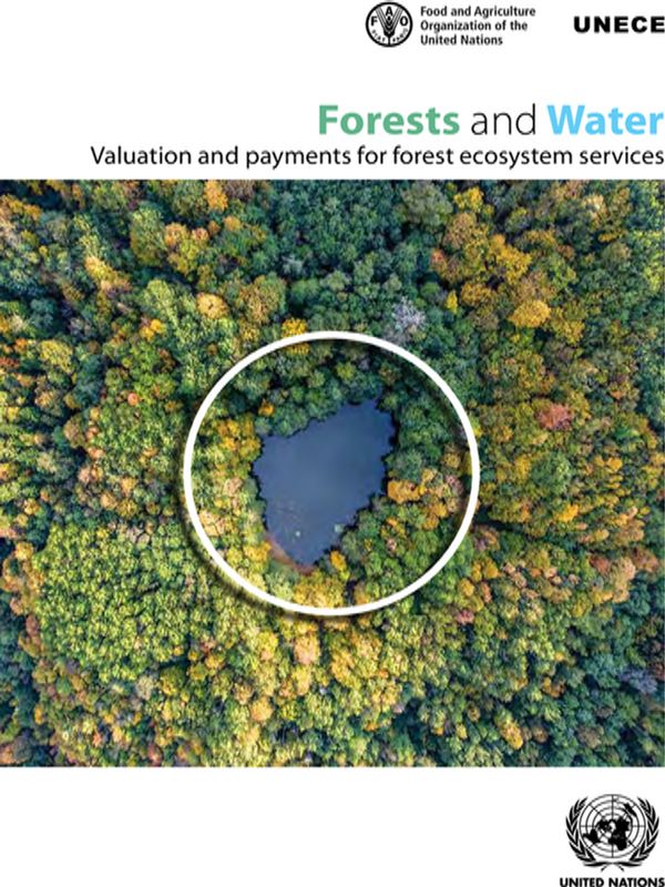 Forests and Water