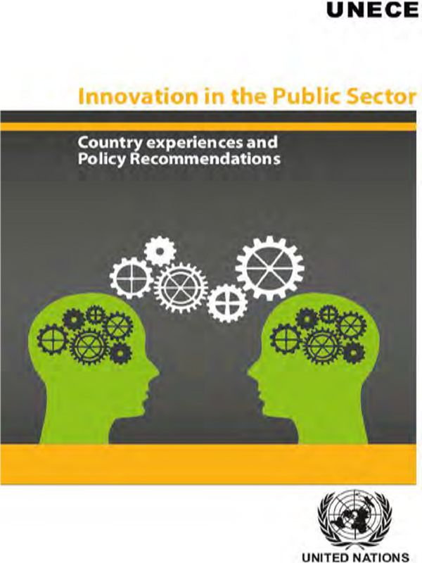 Innovation in the Public Sector