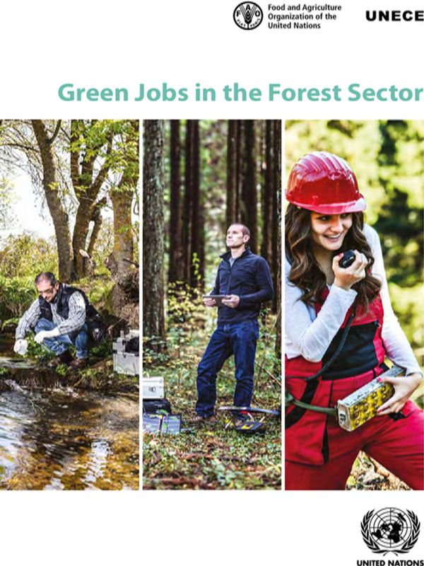 Green Jobs in the Forest Sector